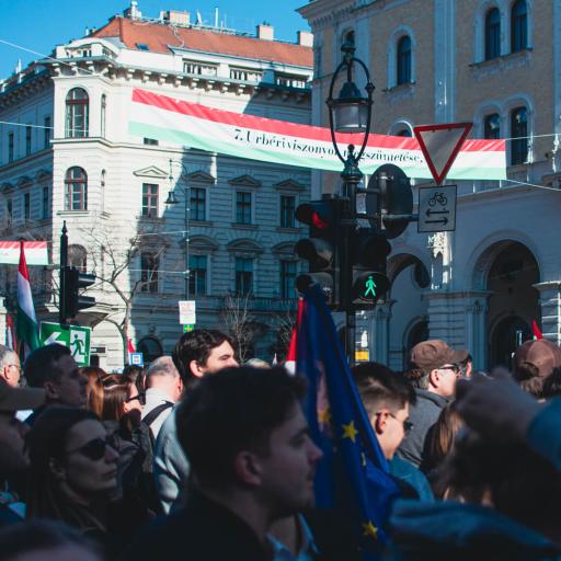 Nemzeti színek között képe